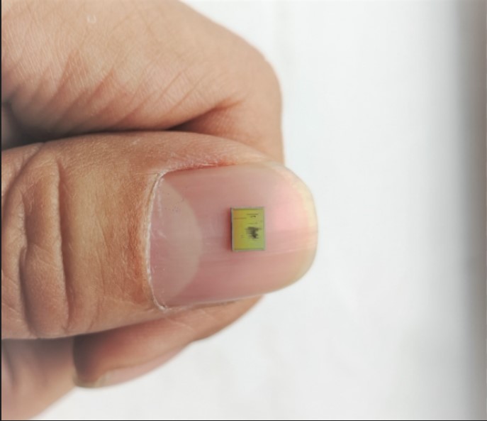 【美丽成电·创新之美】小小芯片，却是多用途“健康管家”！